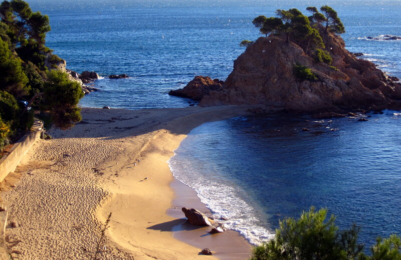 Beach Cove with Rocks