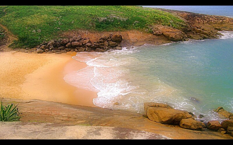 Beach Cove with Waves — Green, Serene