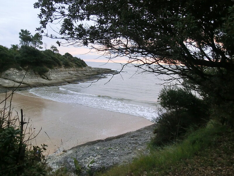 Beach Cove with Waves