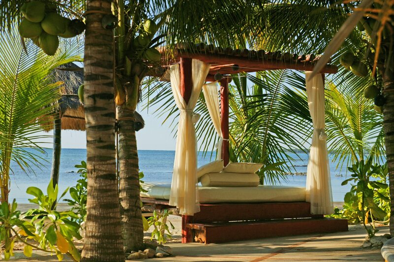 Beach Daybed under Palm