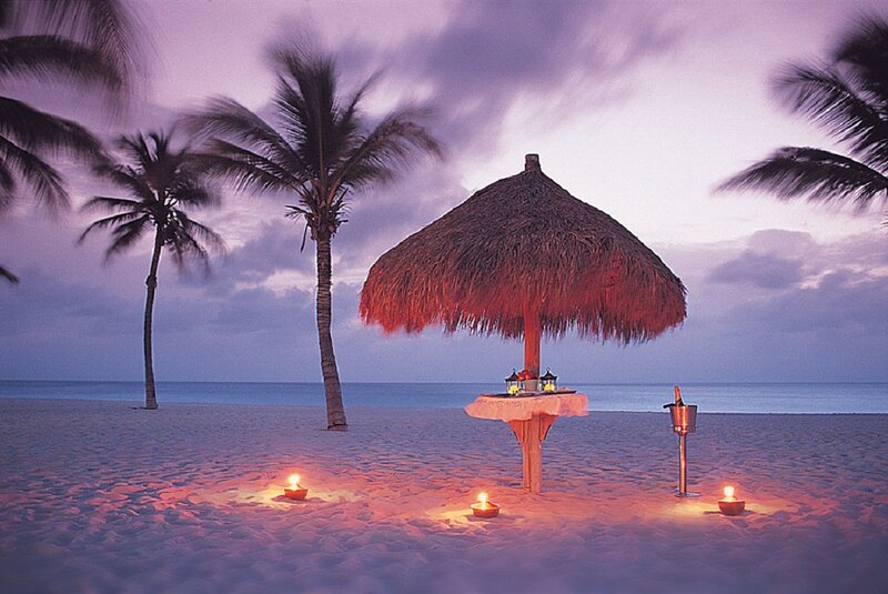 Beach Dinner Setup — Purple, Serene