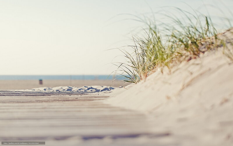 Beach dune with boardwalk