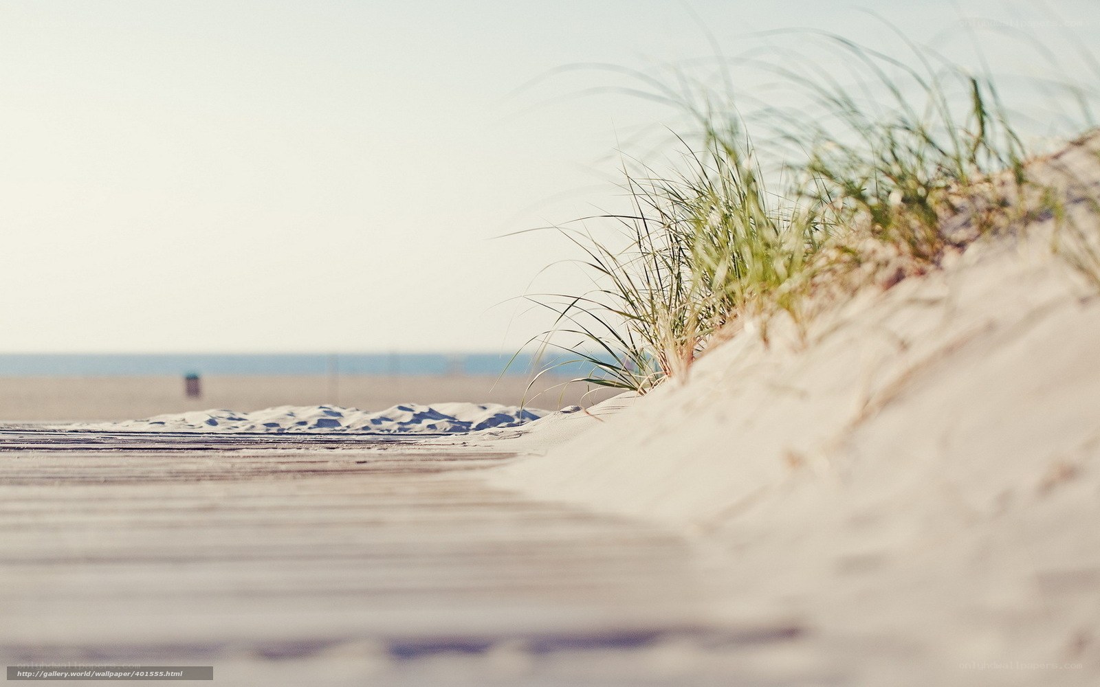 Beach dune with boardwalk