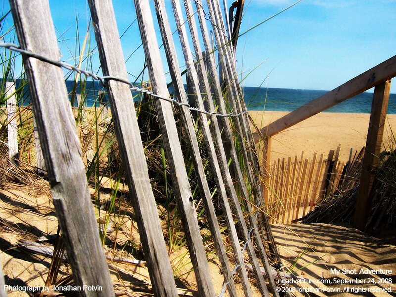 Beach dune with wooden fence