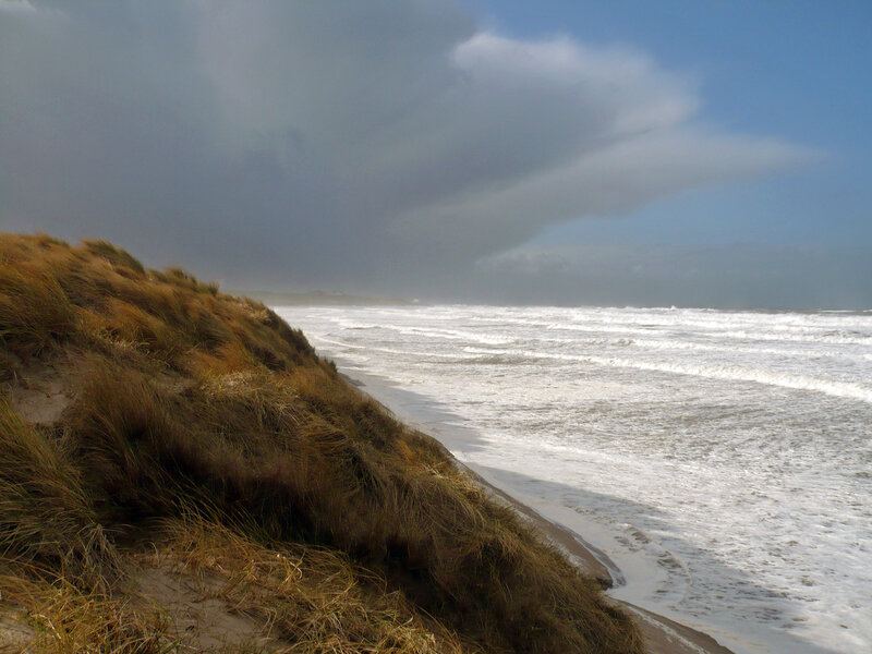 Beach Dunes and Ocean