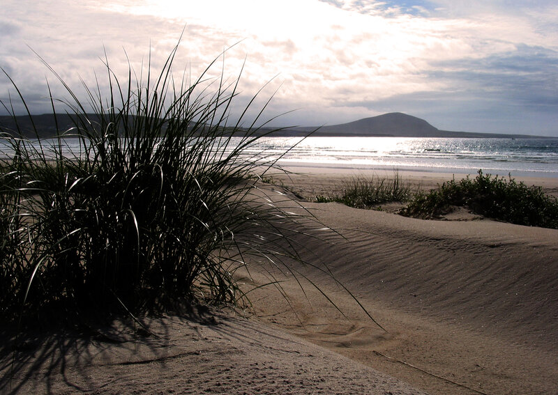 beach dunes at sunset