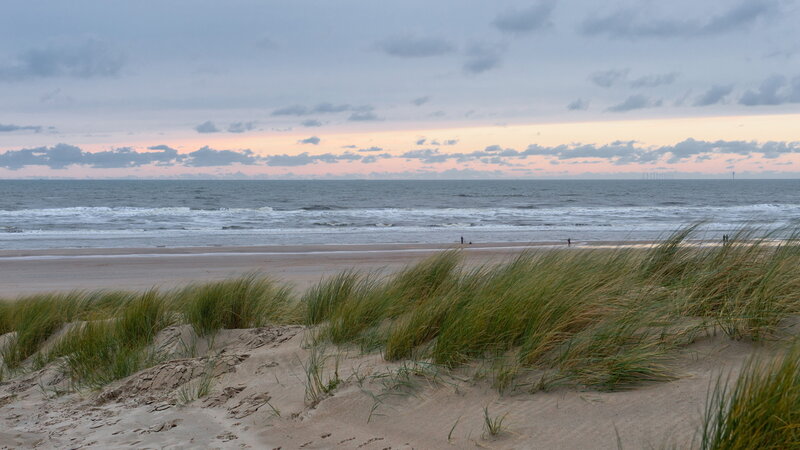 Beach Dunes at Sunset — Gray