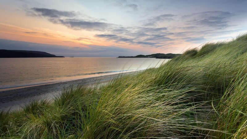 Beach Dunes at Sunset — Green, Serene