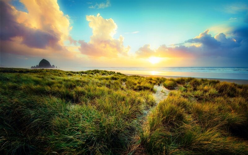 Beach Dunes at Sunset — Green