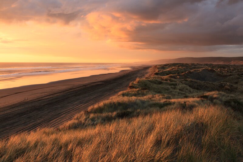 Beach Dunes at Sunset — Orange, Serene