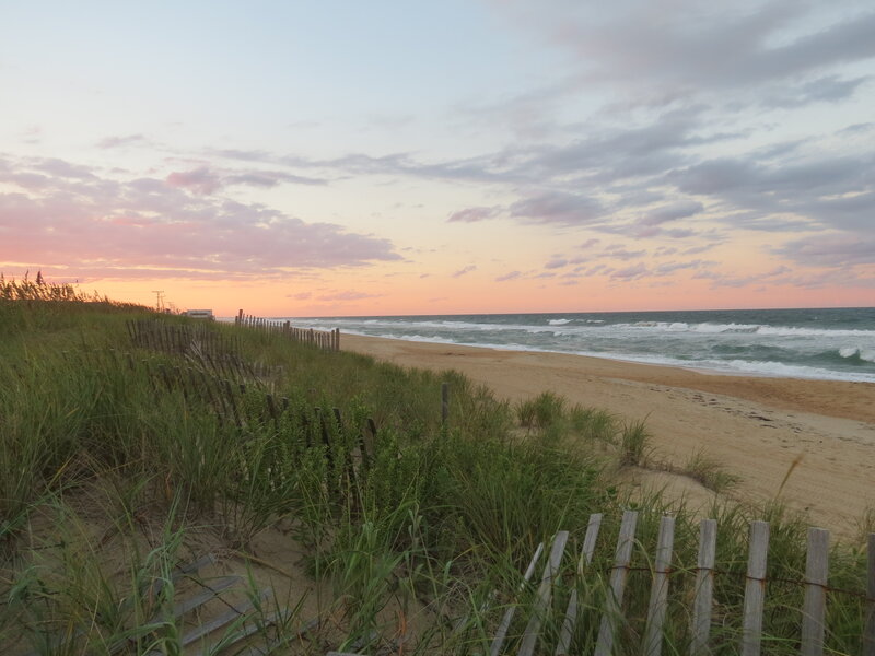 Beach Dunes at Sunset — Pink, Serene