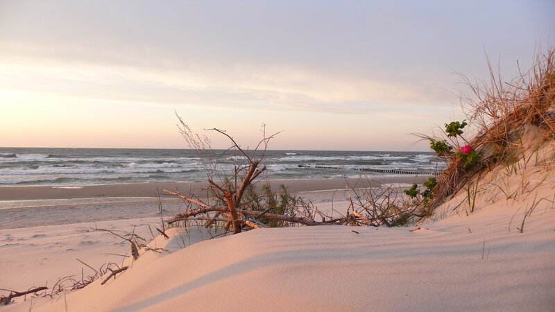 Beach Dunes at Sunset — Pink