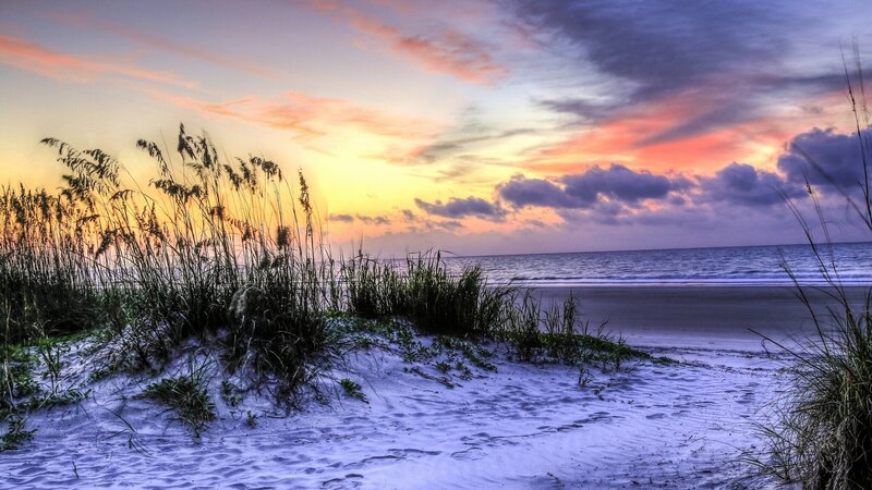 Beach Dunes at Sunset — Purple