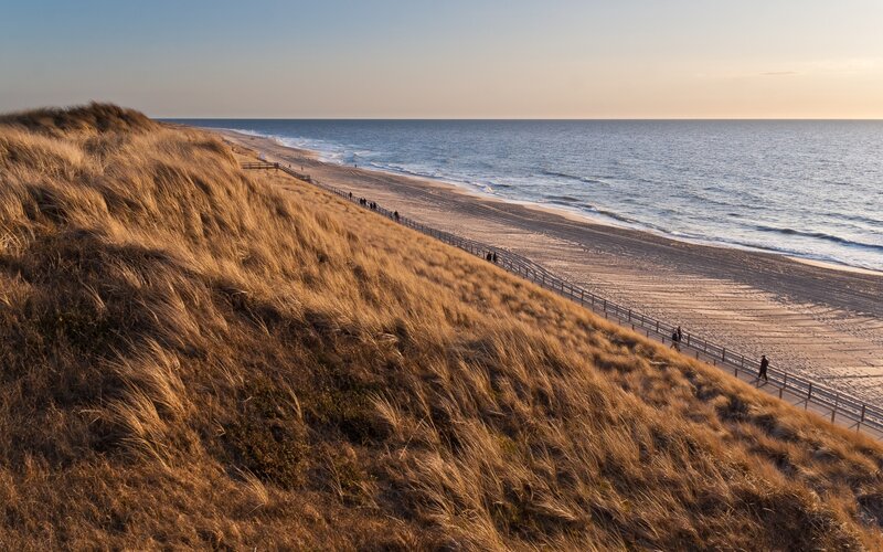 Beach dunes at sunset