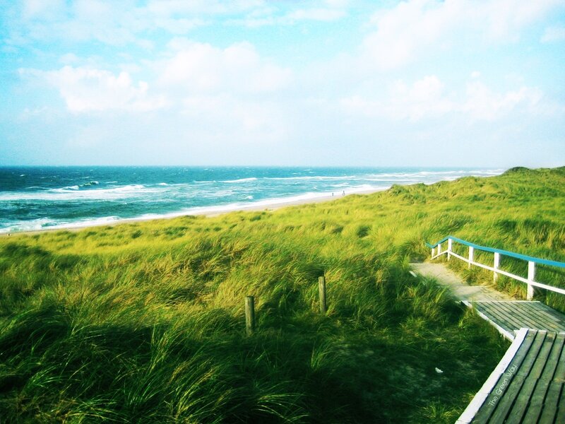Beach Dunes with Boardwalk — Green