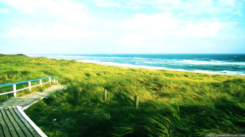 Beach Dunes with Boardwalk