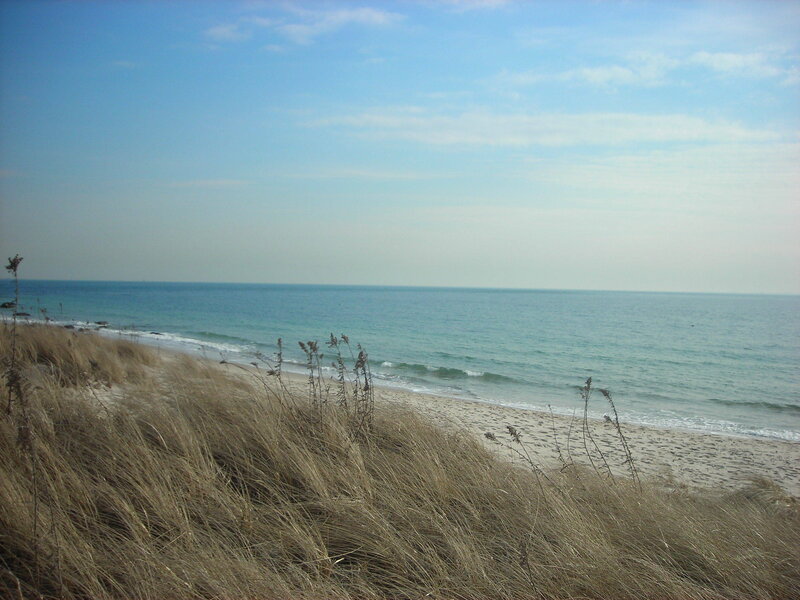 Beach Dunes with Grass — Blue