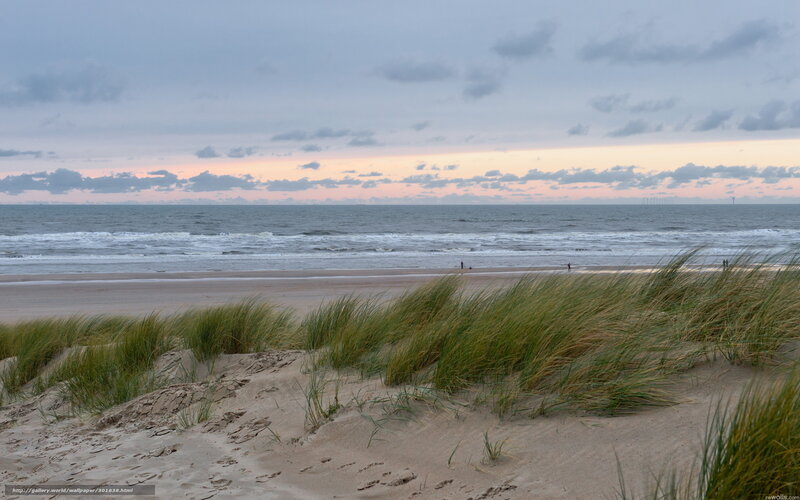 Beach Dunes with Grass — Green
