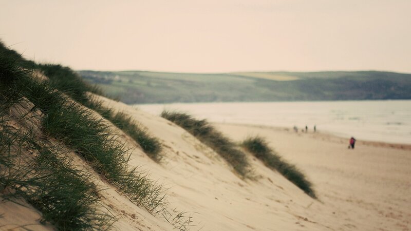 beach dunes with grass