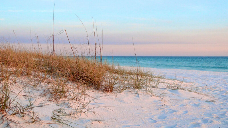 Beach Dunes with Grass — White