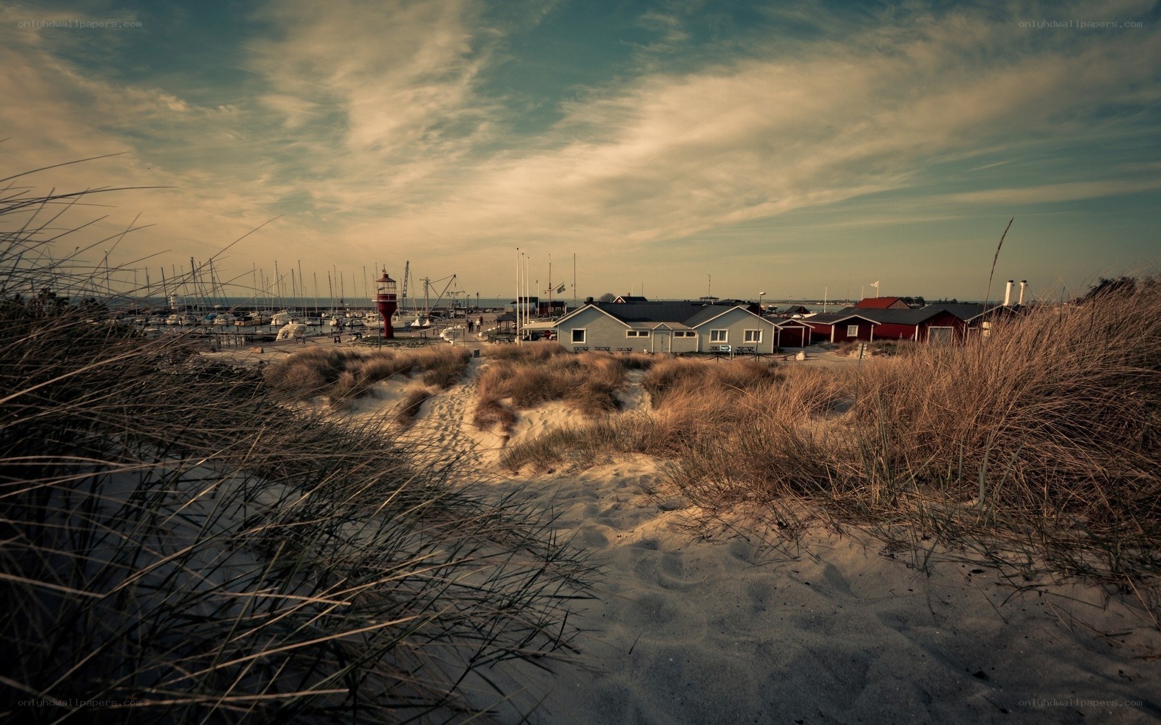Beach dunes with harbor view