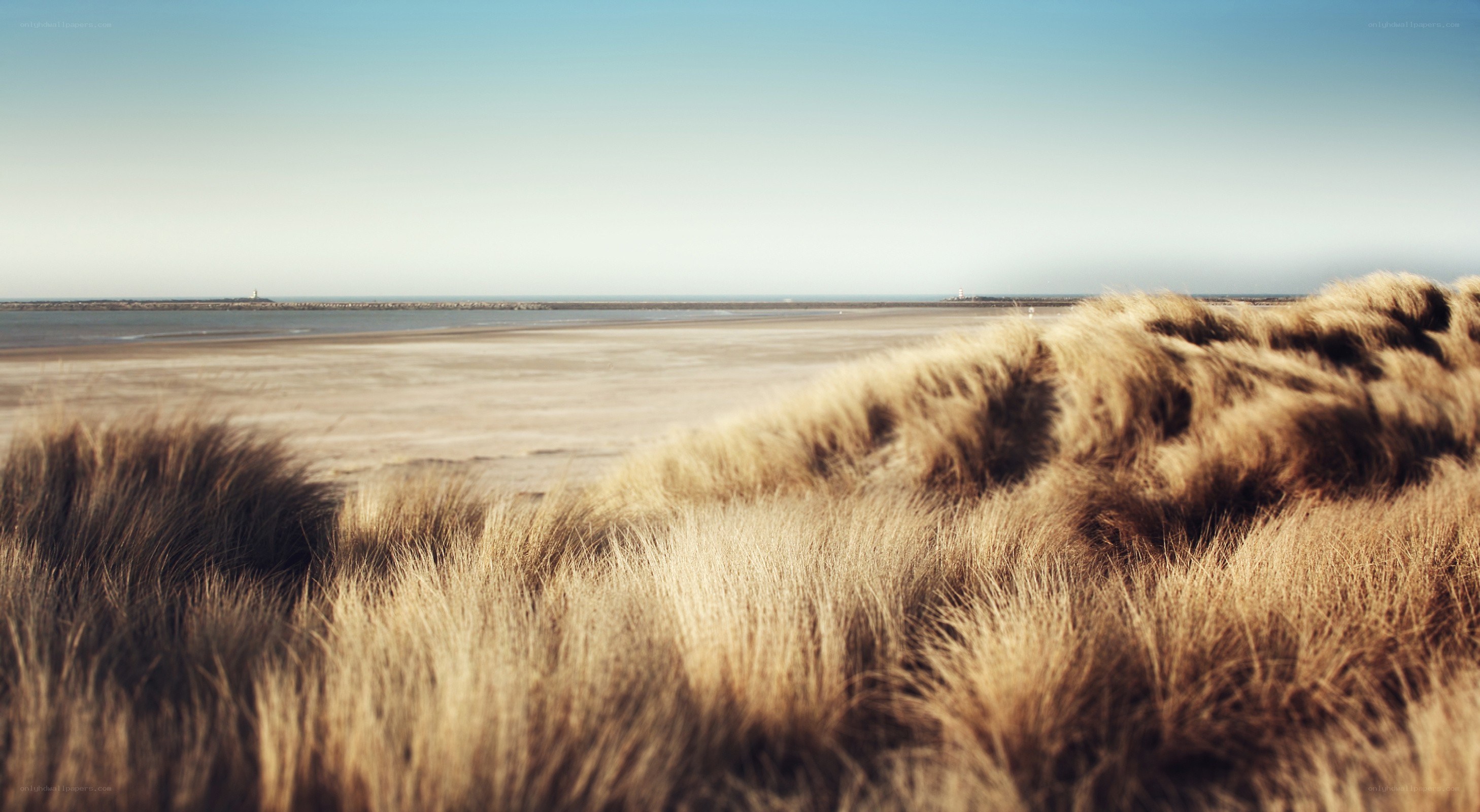 Beach dunes with sea view