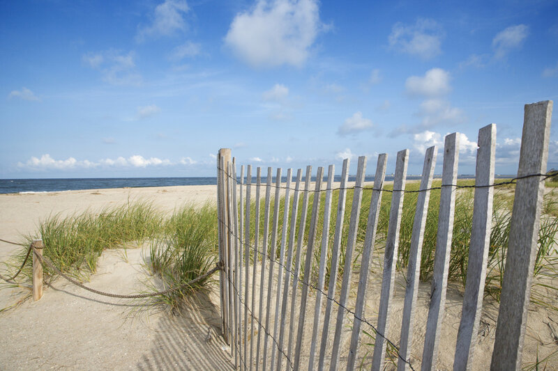 Beach dunes with wooden fence