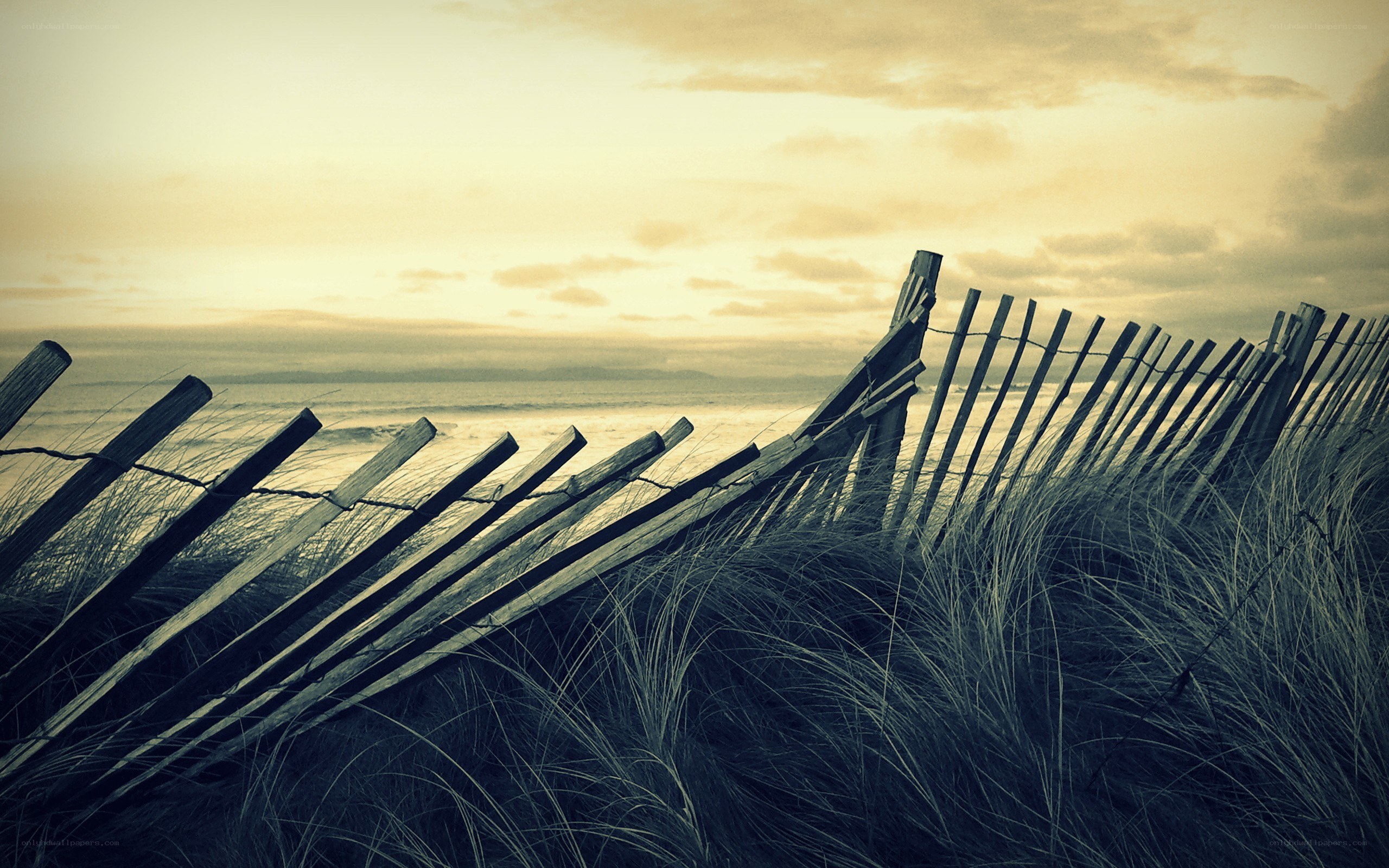 Beach fence at sunset