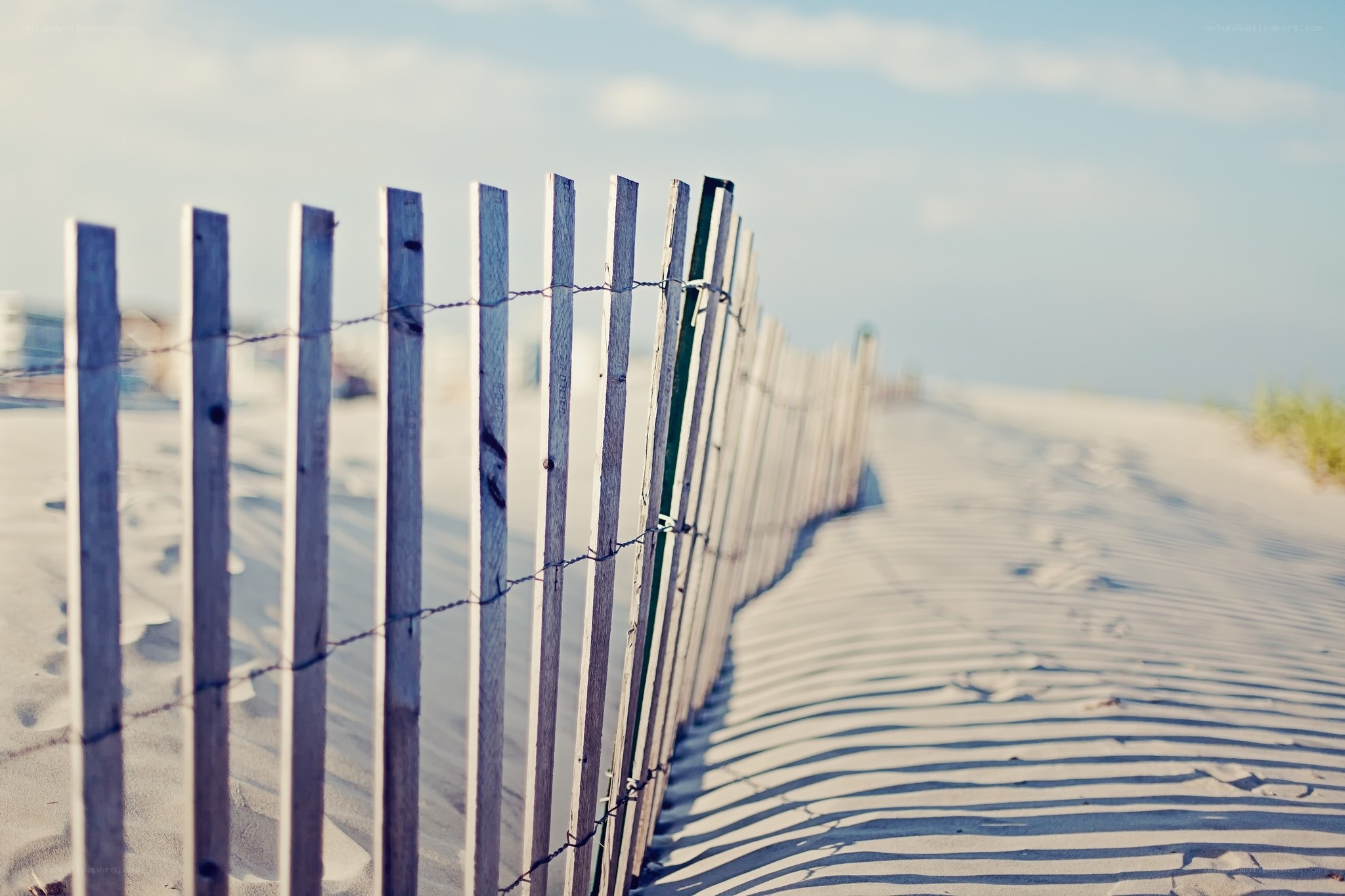 beach fence on sandy dune