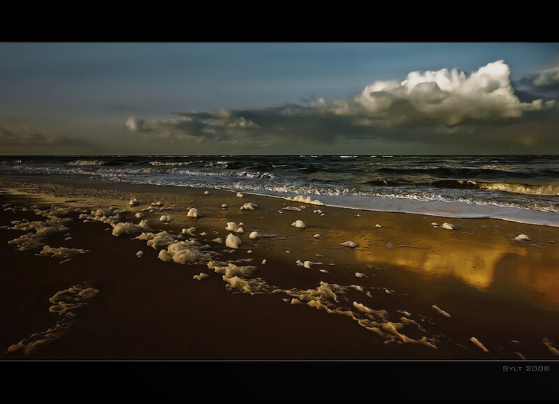 Beach foam at sunset