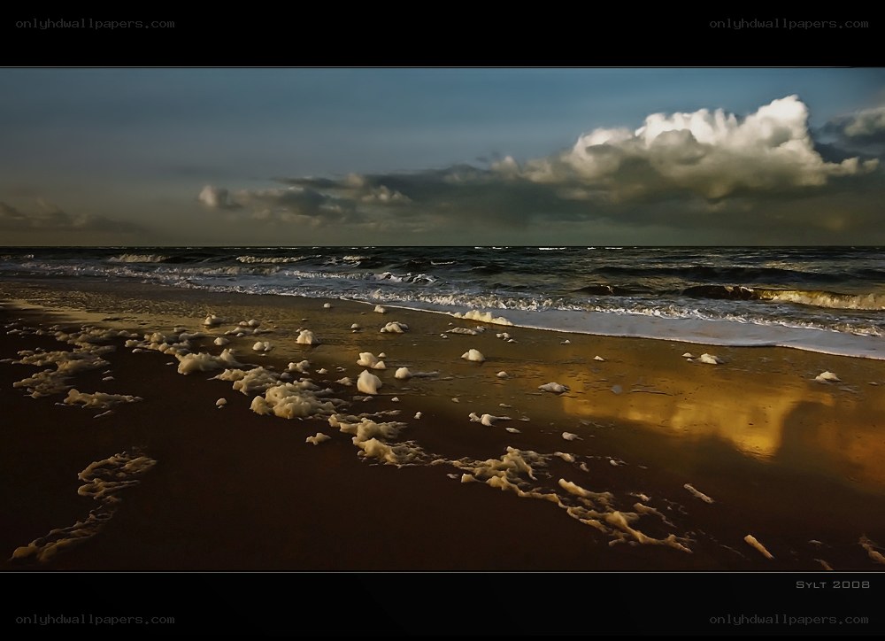 Beach foam at sunset