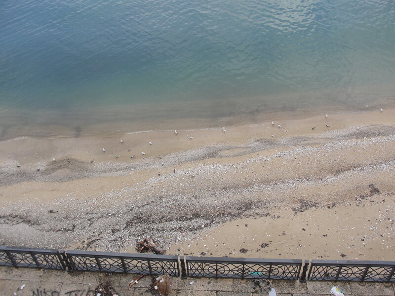 beach from high vantage point