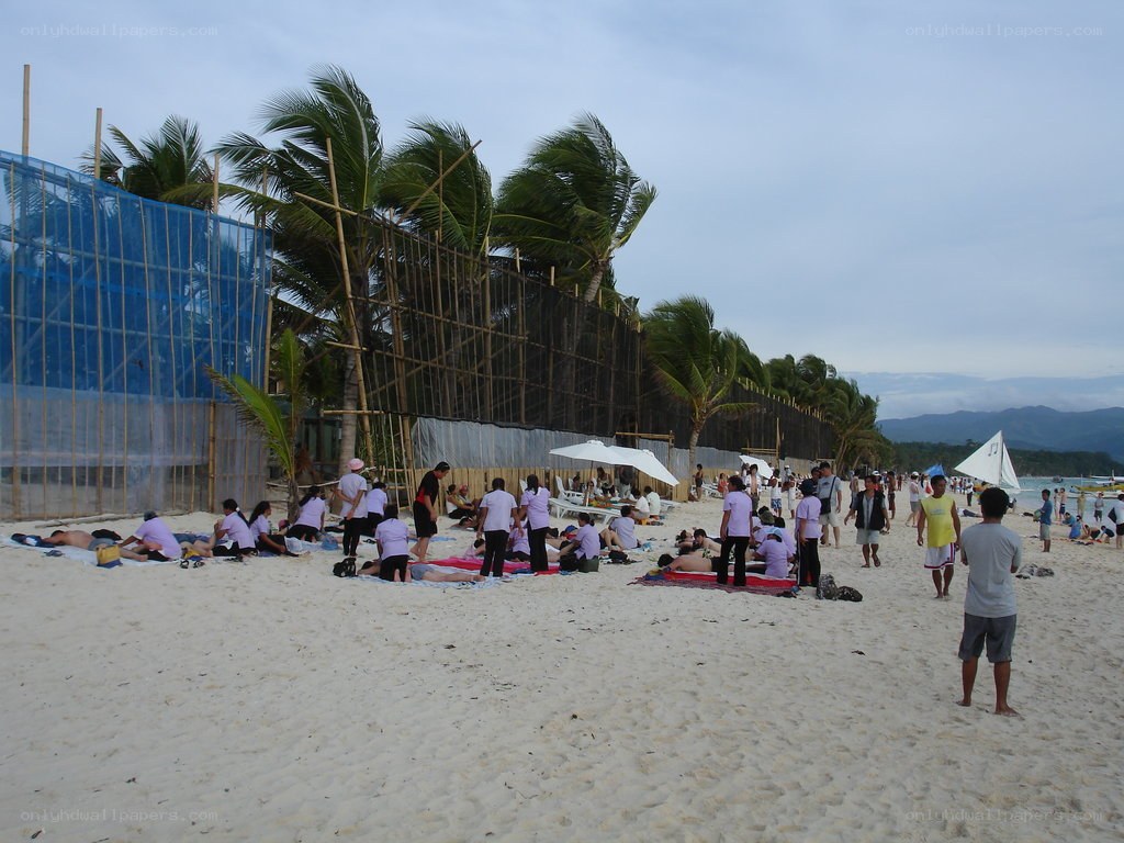 Beach gathering with palm trees