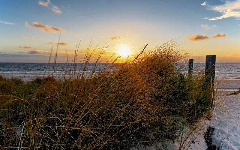 Beach Grass at Sunset — Blue