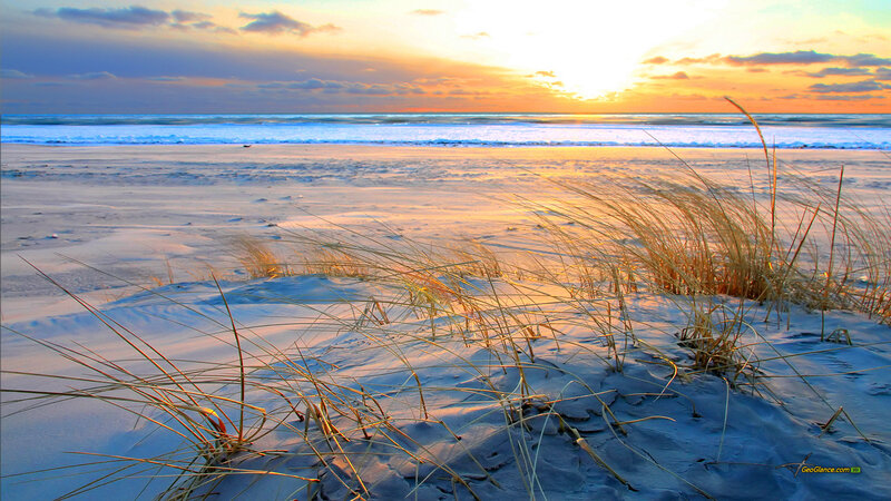 Beach Grass at Sunset — Orange, Serene