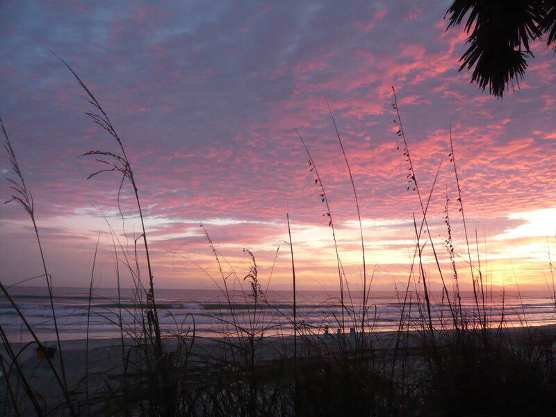 Beach Grass at Sunset — Pink