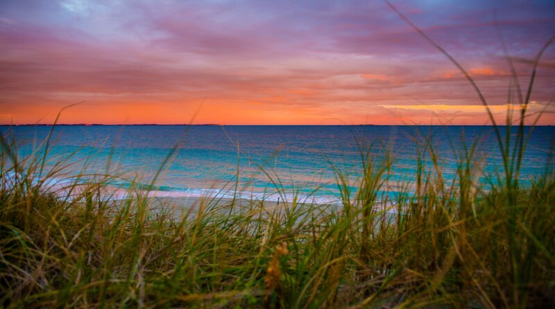 Beach Grass at Sunset — Purple, Serene