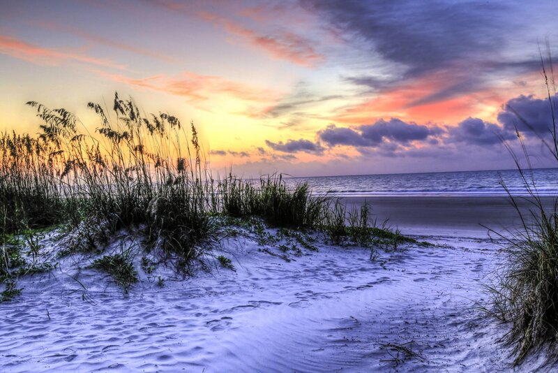 Beach Grass at Sunset — Purple