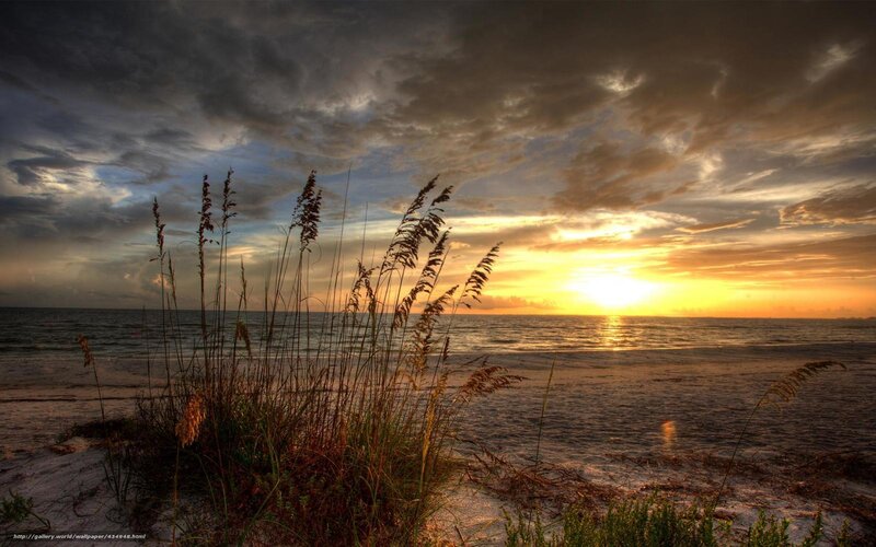 Beach Grass at Sunset — Yellow, Dramatic