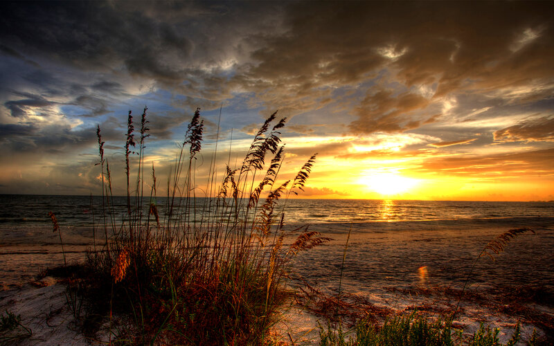 Beach Grass at Sunset — Yellow