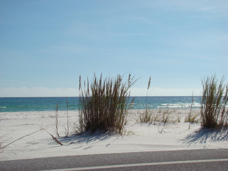 Beach Grass on Sand — Blue