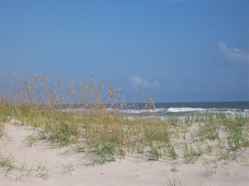 Beach Grass on Sand Dune — Blue