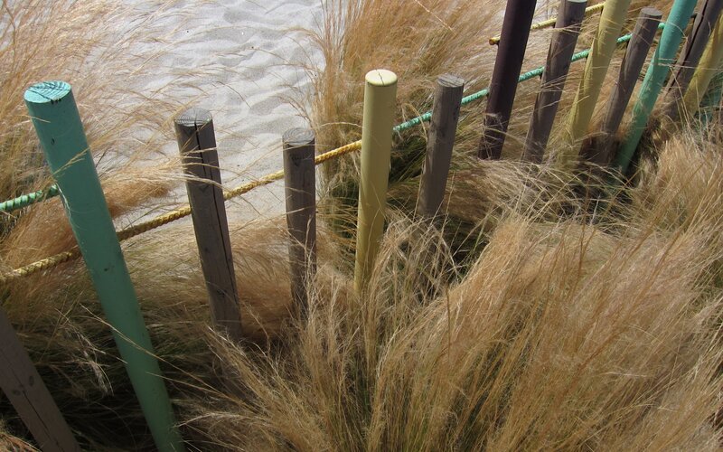 Beach Grass with Fence