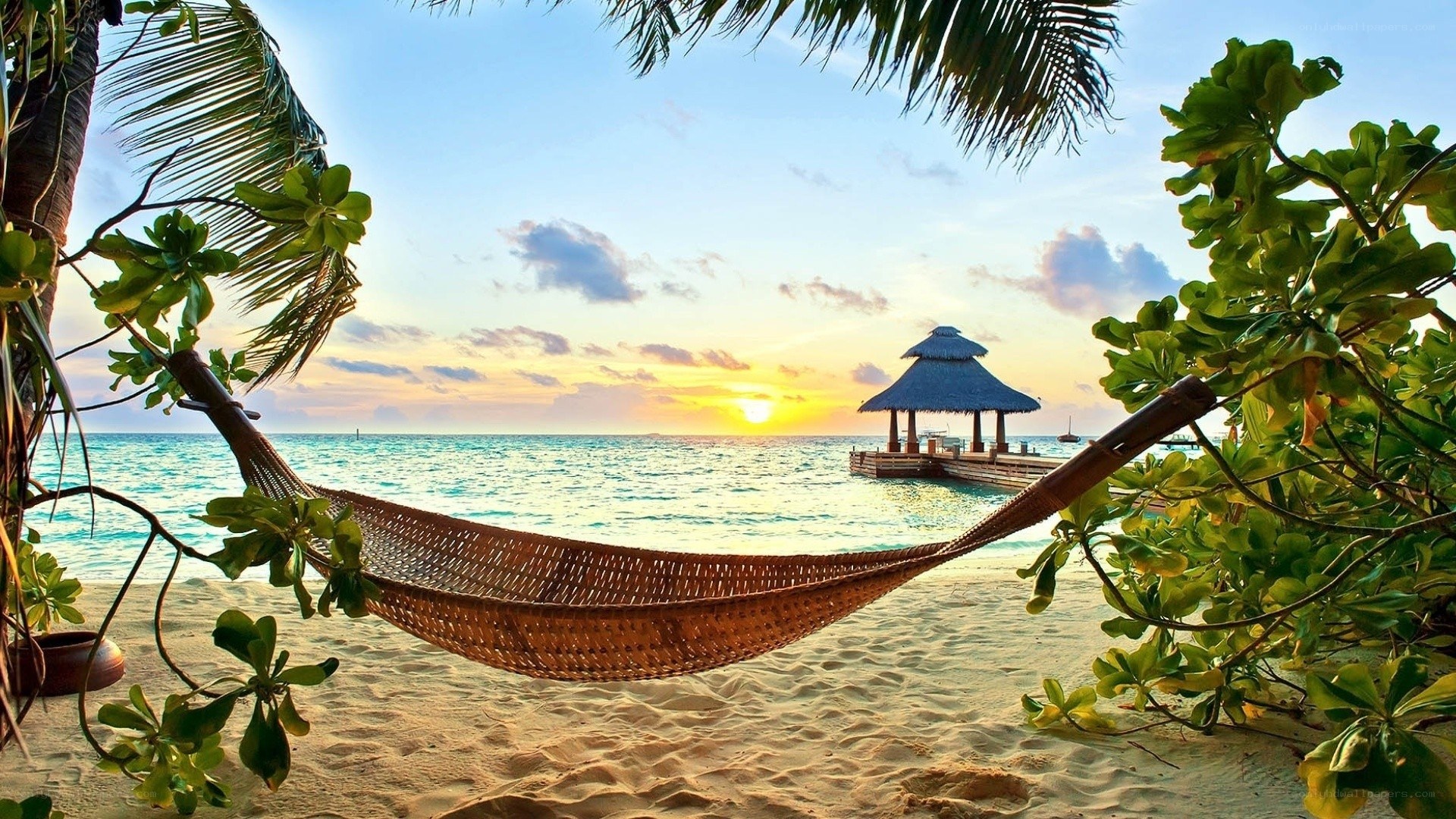 Beach hammock at sunset