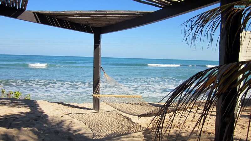 Beach hammock under a palapa