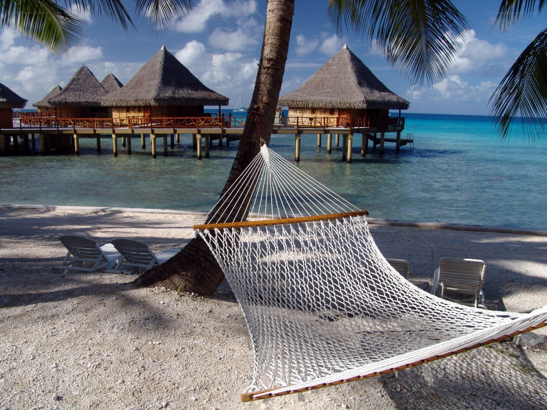Beach hammock with overwater bungalows