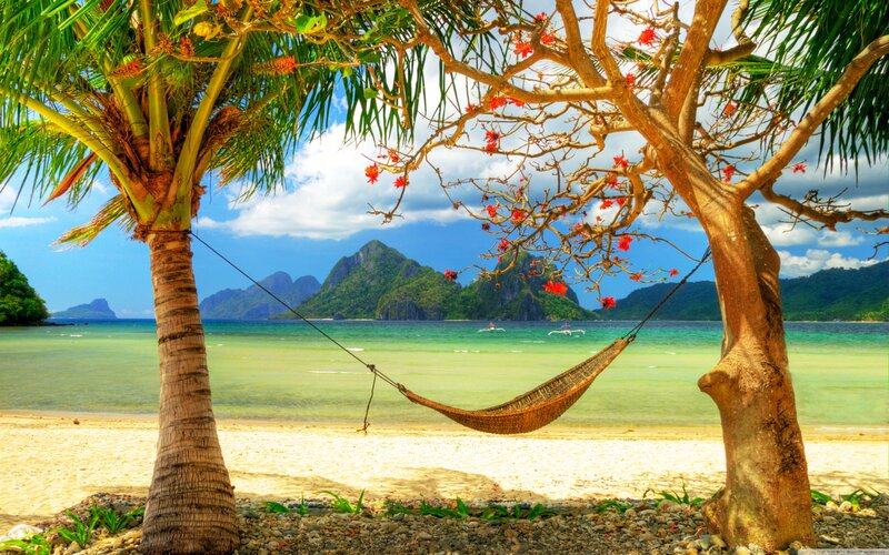 Beach hammock with tropical view