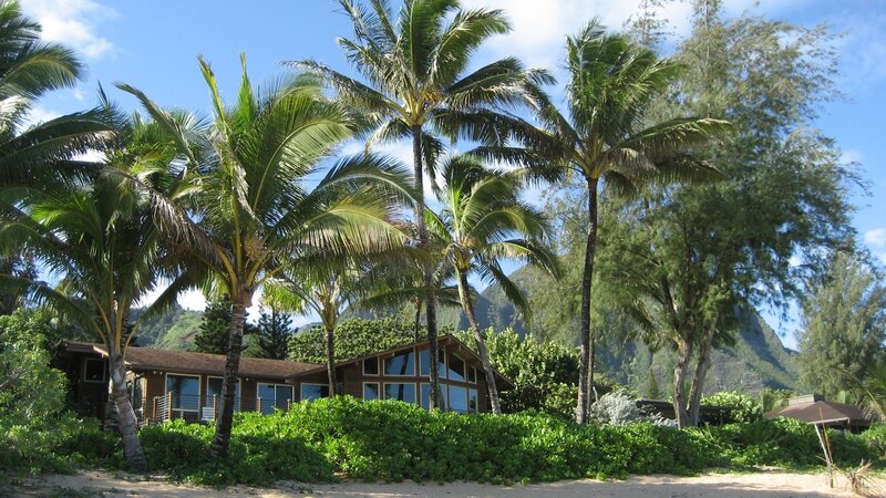 Beach House with Palm Trees