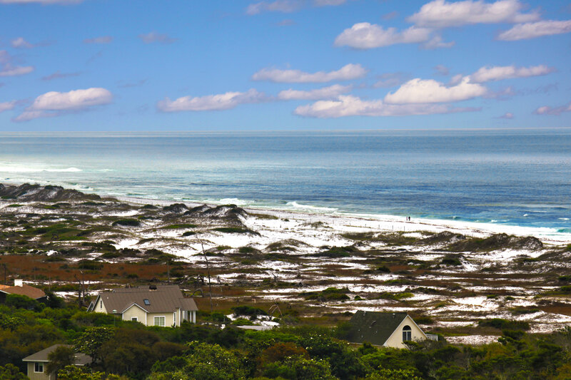 Beach Houses on Dunes