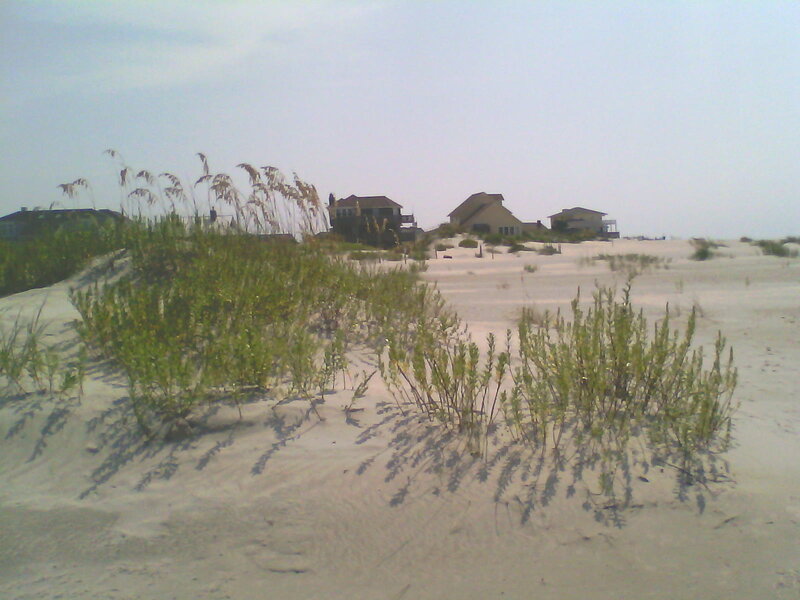 Beach Houses on Dunes — White